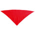 Pañoleta Plus (7)