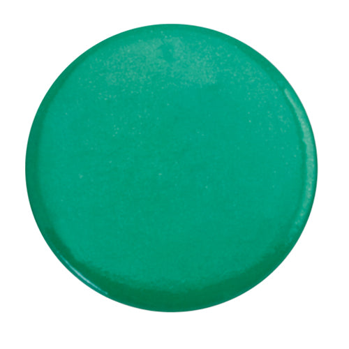Pin Turmi (7)