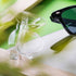 Gafas Sol Tunak (9)