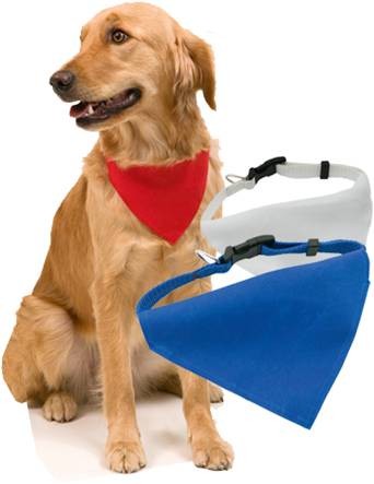 Collar Bandana Roco (1)