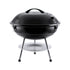 Barbacoa Mayrax (2)