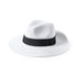Sombrero Teilor (3)