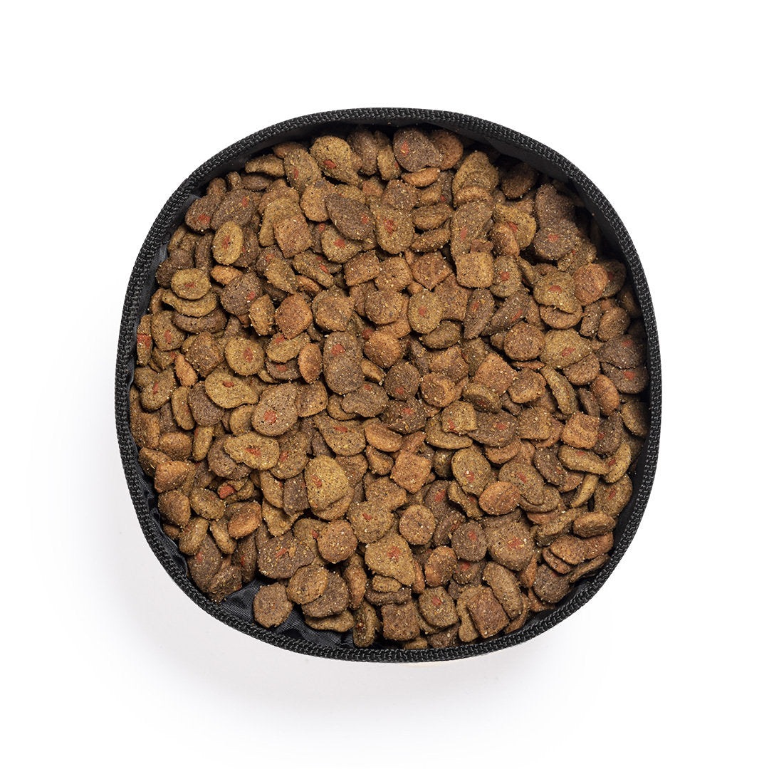 Bowl Plegable Poppy (6)