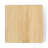 Pin Royers (3)