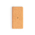 Power Bank Limerick (2)