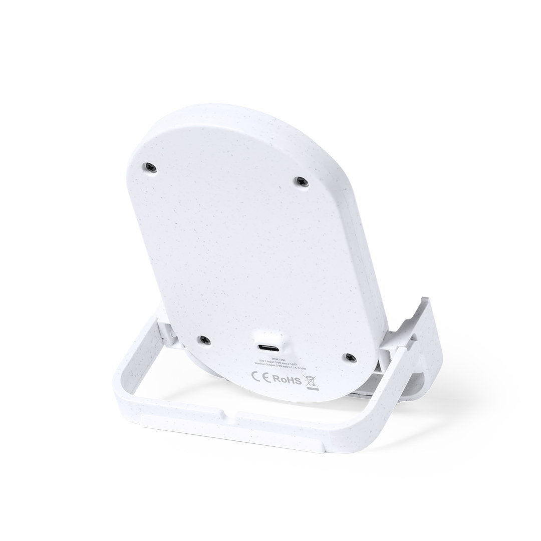 Cargador Buisson (6)