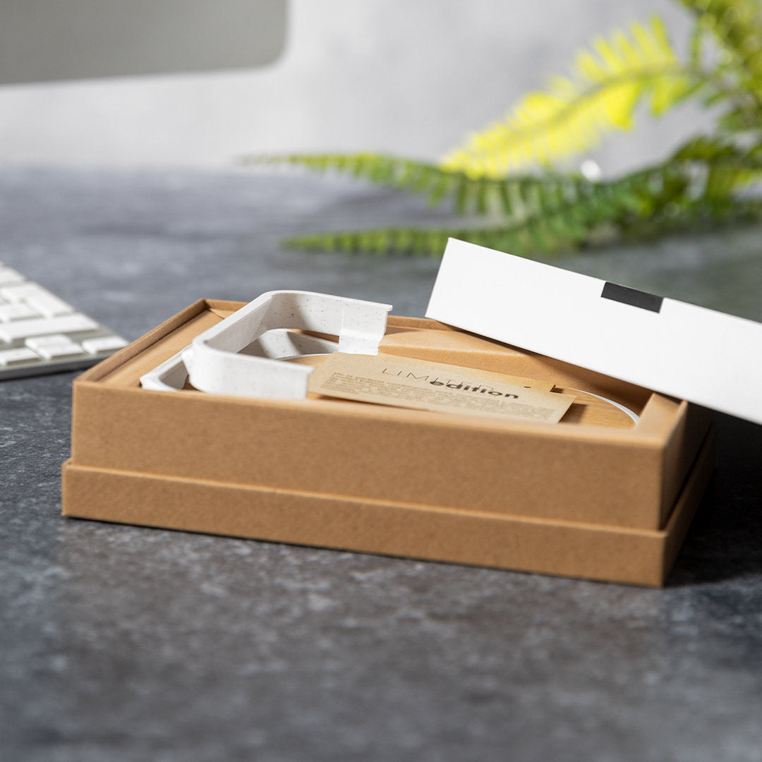 Cargador Buisson (9)