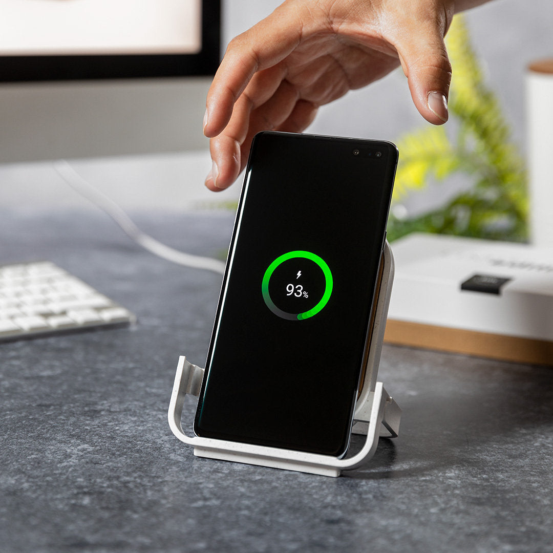 Cargador Buisson (10)