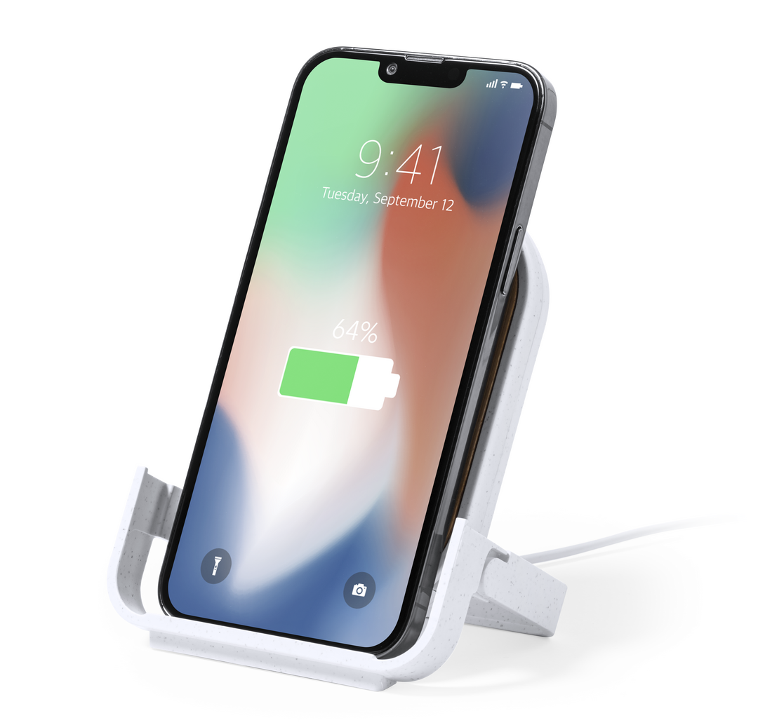 Cargador Buisson (15)