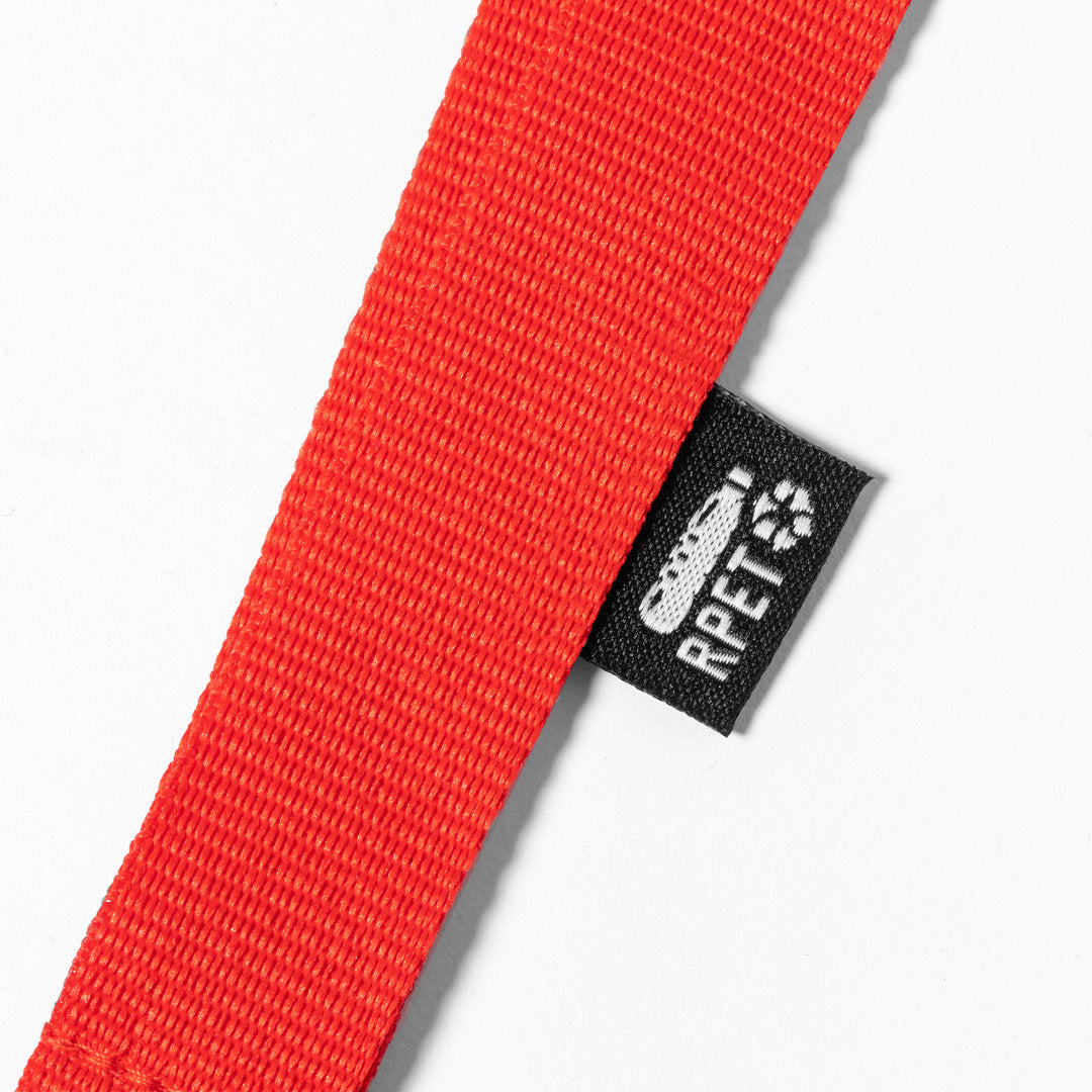 Lanyard Loriet (14)