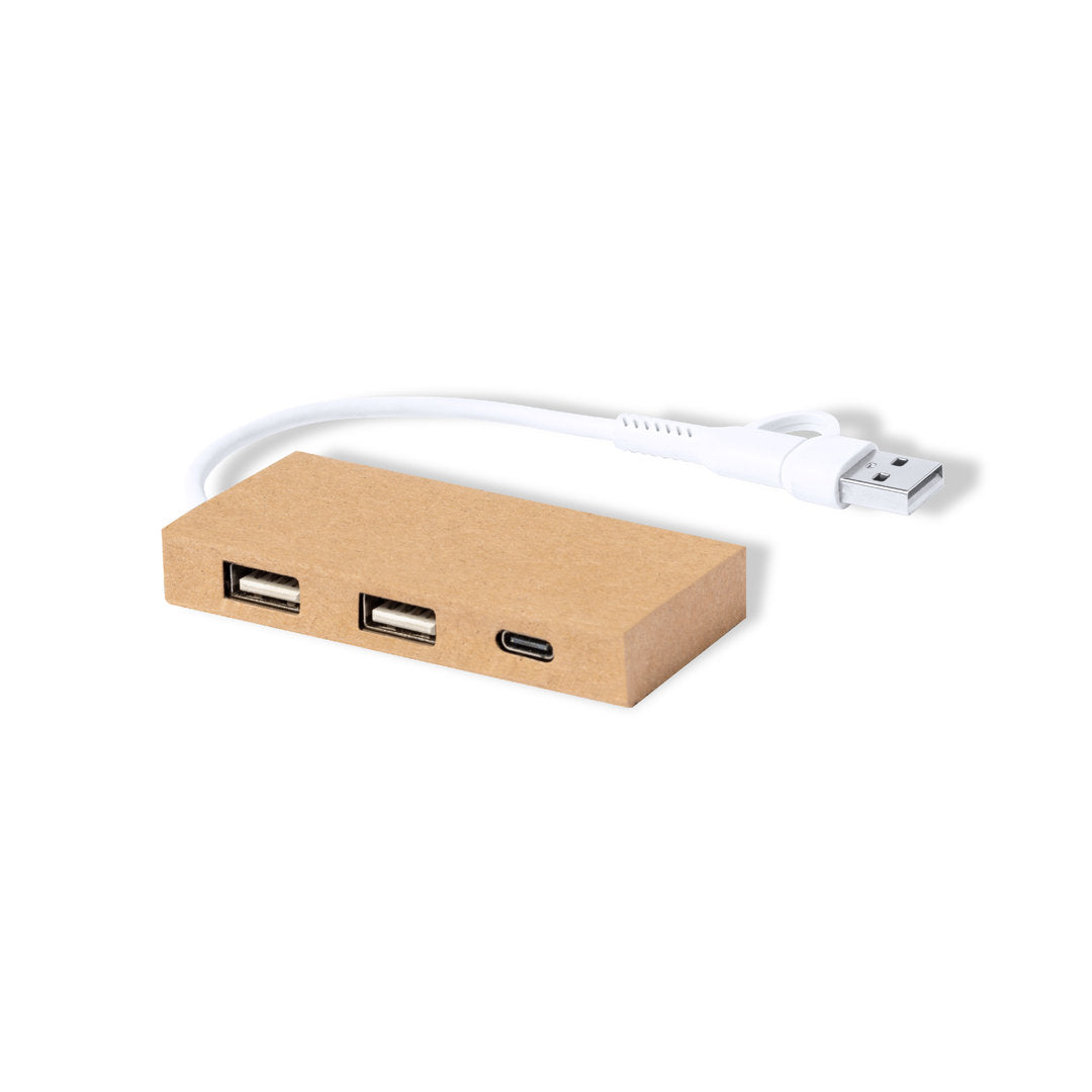 Puerto USB Hasgar (4)