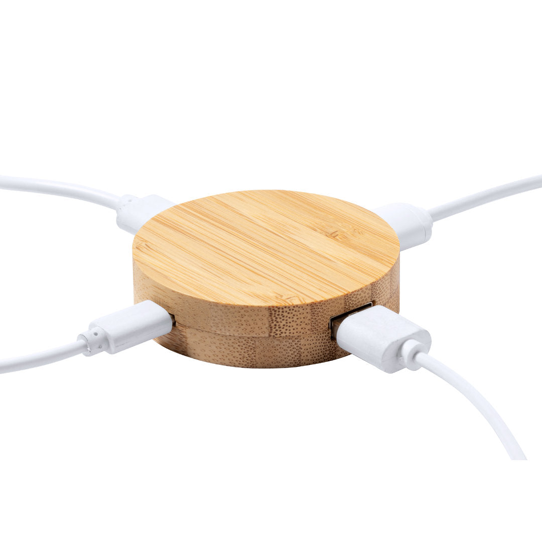 Puerto USB Lasiar (4)