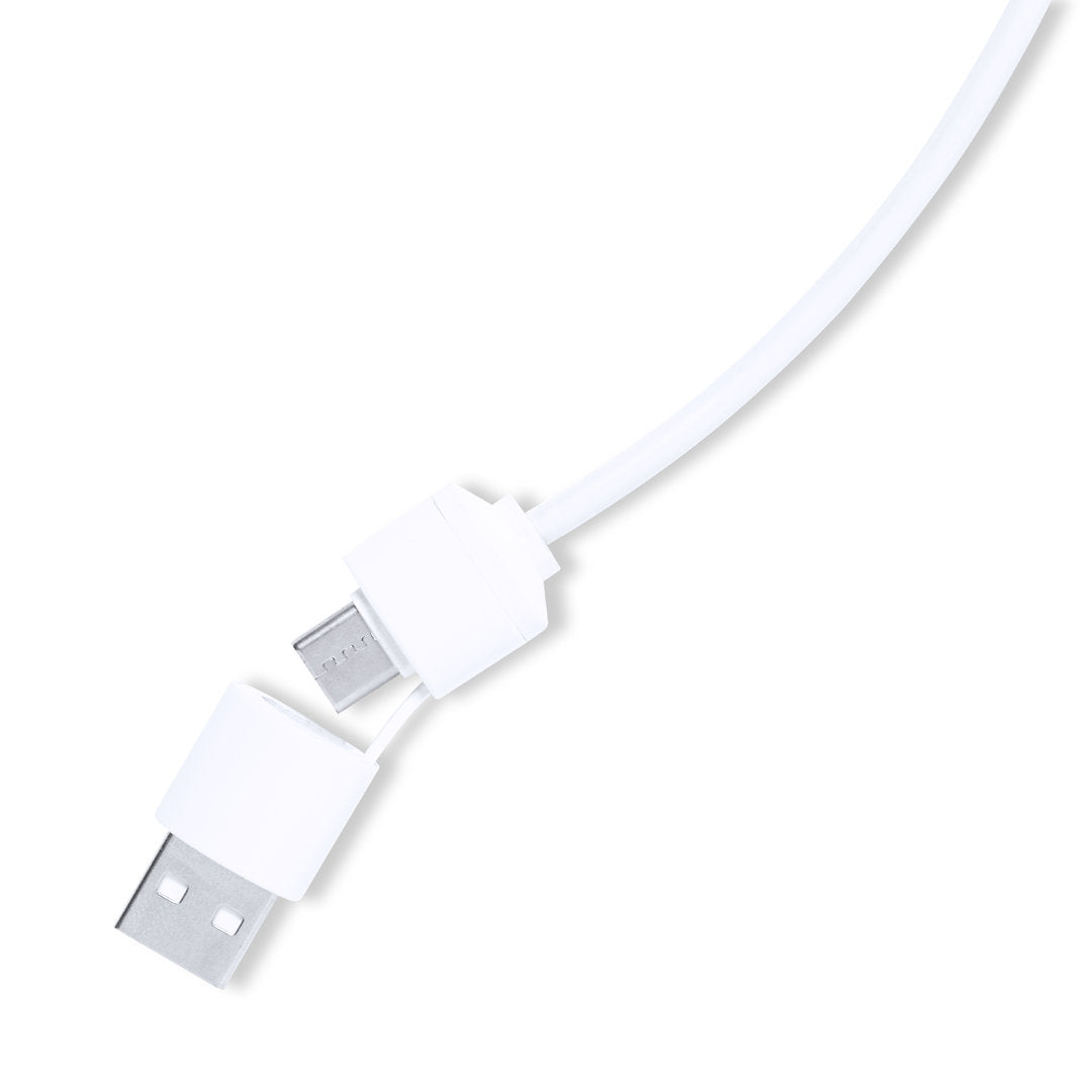 Puerto USB Lasiar (5)