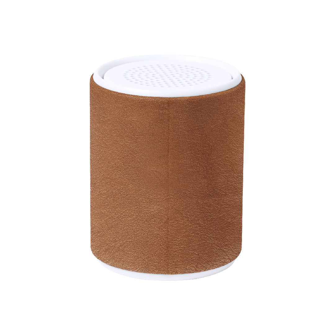 Altavoz Sotep RCS (2)