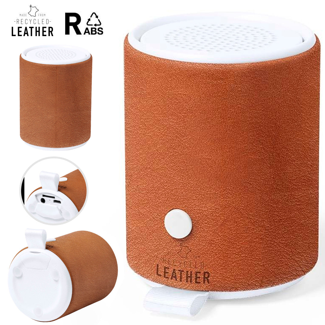 Altavoz Sotep RCS (1)