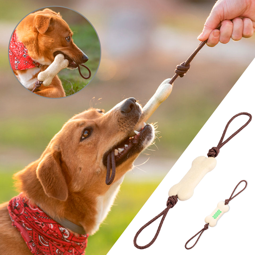 Mordedor Mascotas Salmer (1)