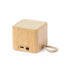 Altavoz Kiefer (4)