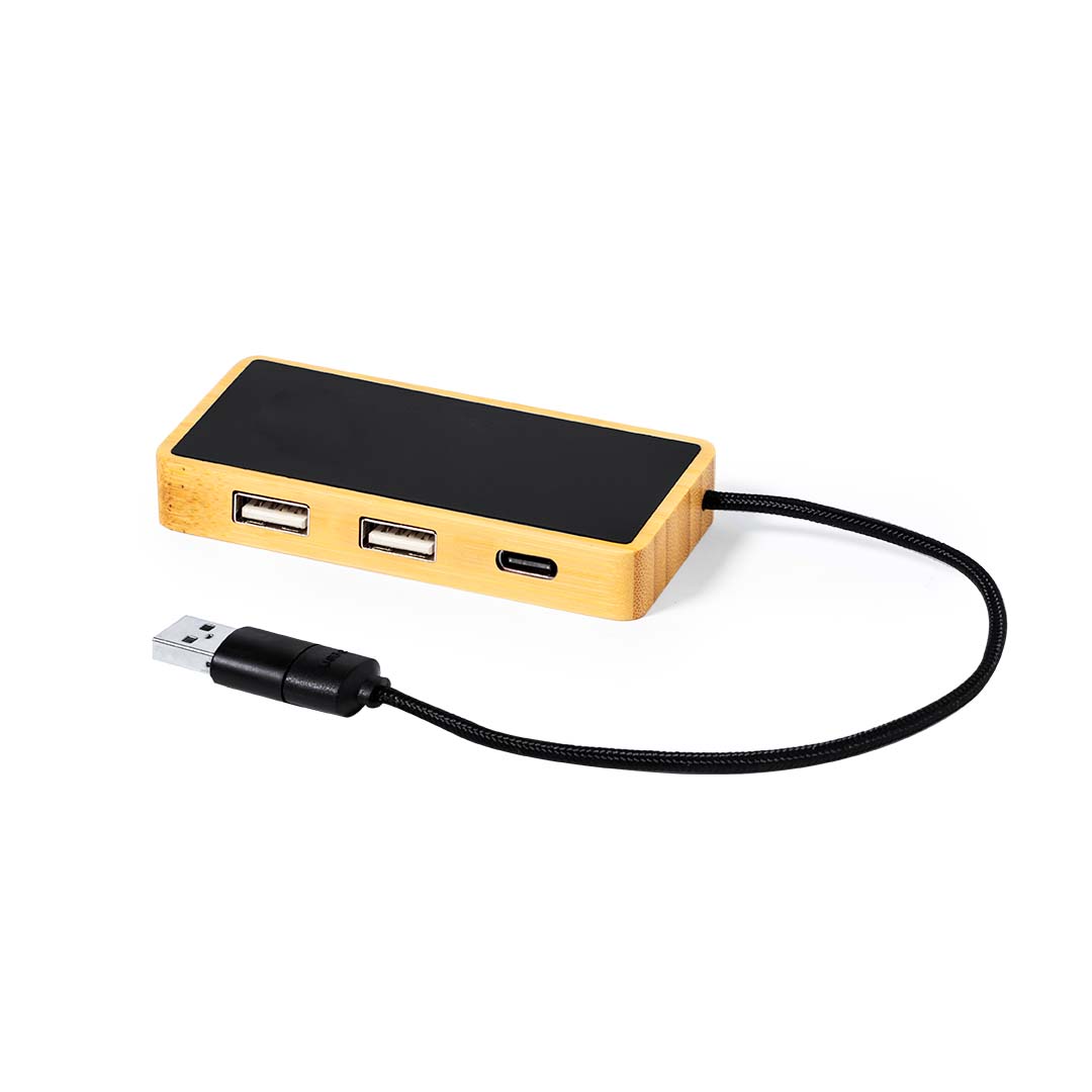 Puerto USB Ginger (3)