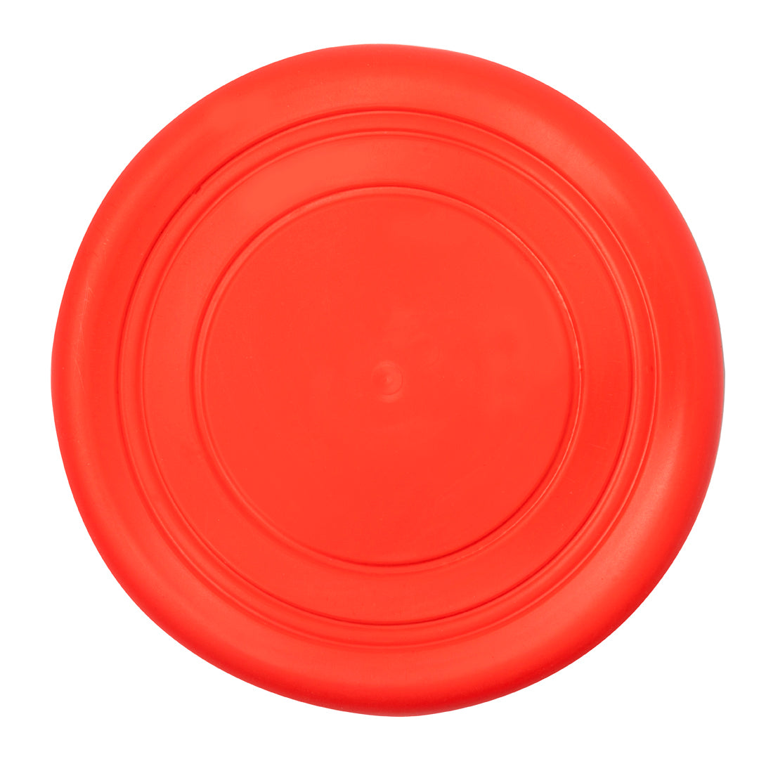 Frisbee Girud (4)
