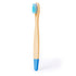 Cepillo Dientes Becu (3)