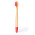 Cepillo Dientes Becu (5)
