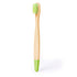 Cepillo Dientes Becu (1)