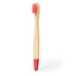 Cepillo Dientes Becu (10)