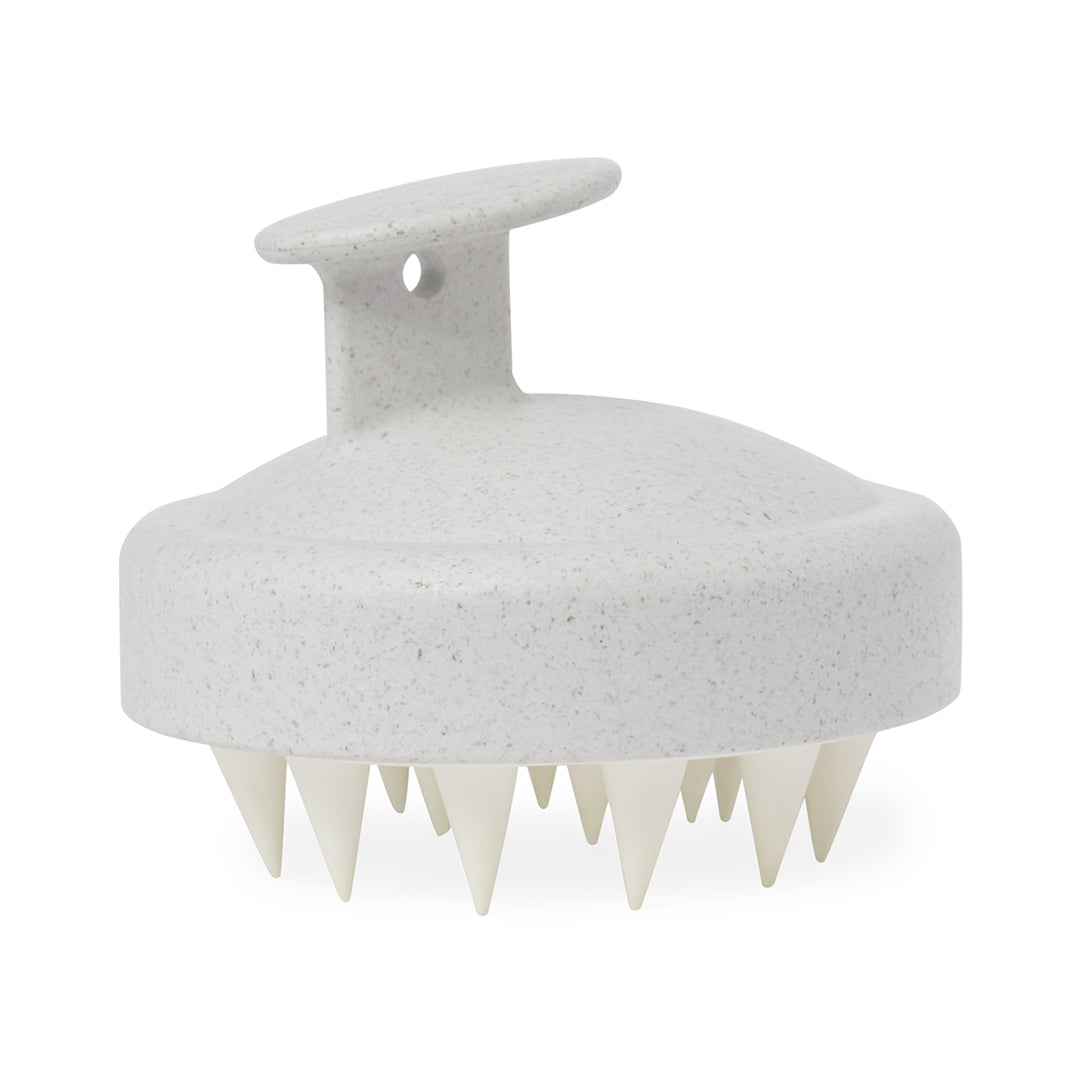 Emulsionador Nocote (1)