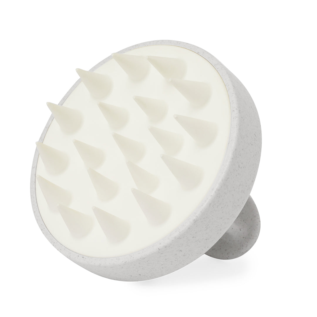 Emulsionador Nocote (3)