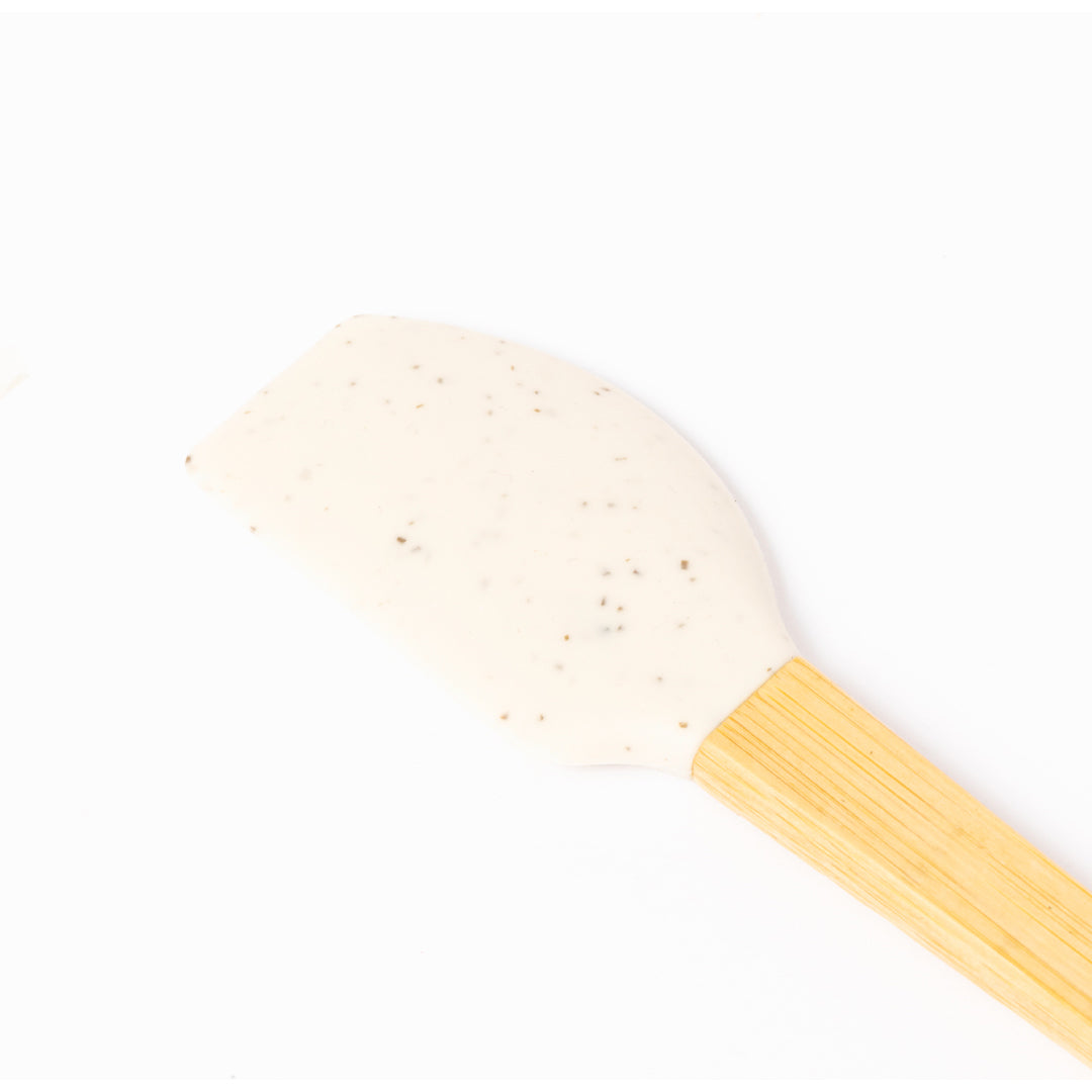 Paleta Aloria (4)