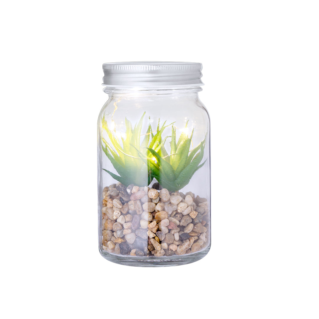 Planta Decorativa Kyala (2)