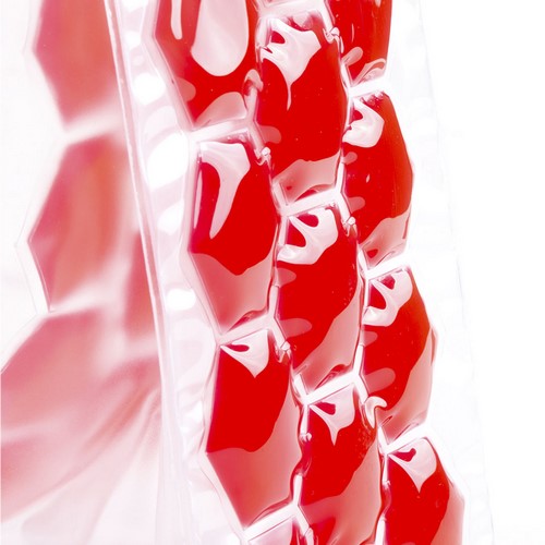 Bolsa Enfriador Raycon 25 cm x 10 cm x 10 cm (7)