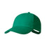 Gorra Haliard (8)