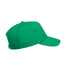 Gorra Brauner (12)