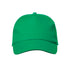 Gorra Brauner (13)