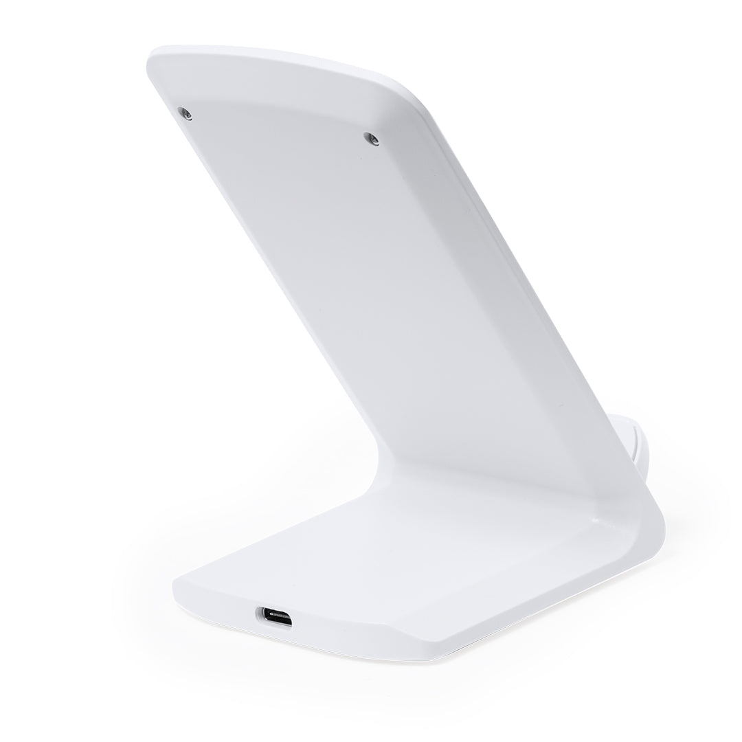 Cargador Tayil RCS (4)