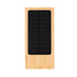 Power Bank Molden (1)
