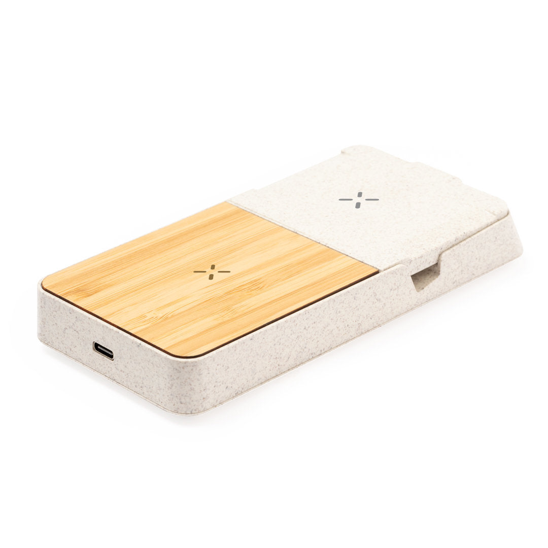 Cargador Barichen (13)