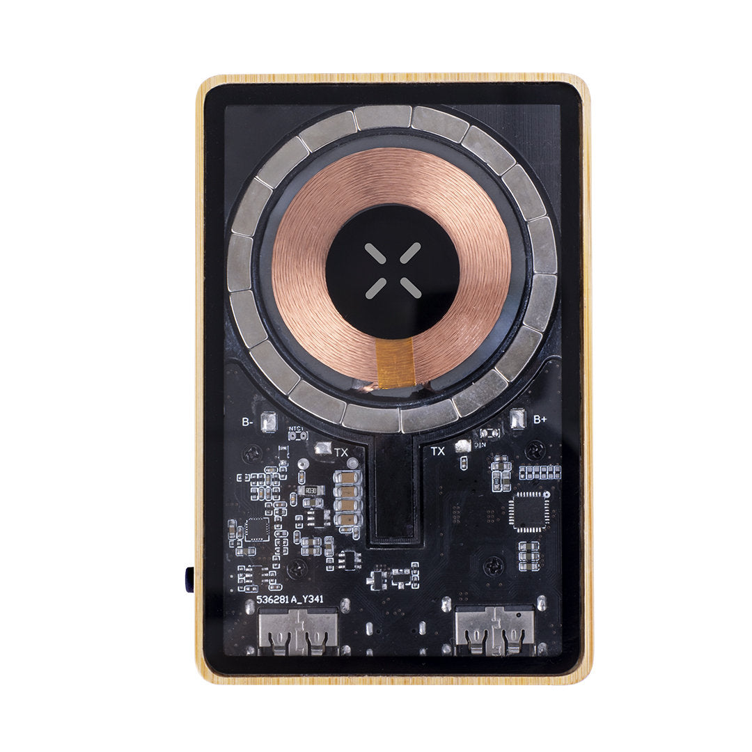 Power Bank Dominik (1)