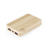 Power Bank Dominik (7)