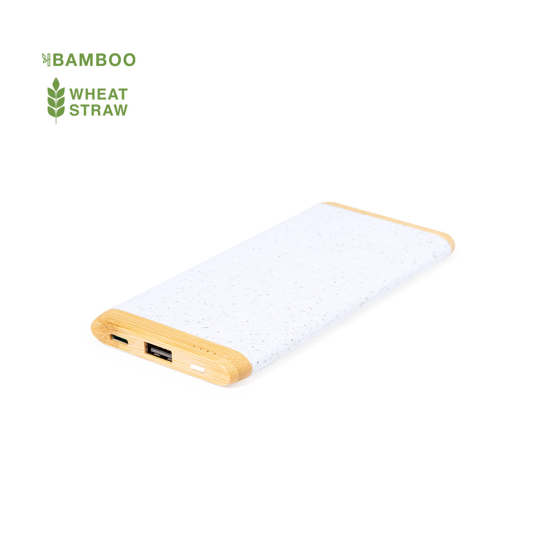Power Bank Coquin (2)