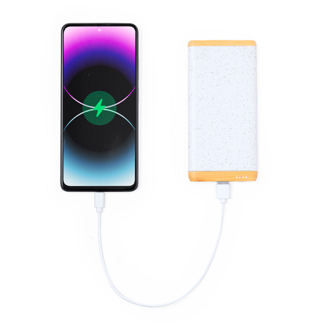 Power Bank Coquin (4)