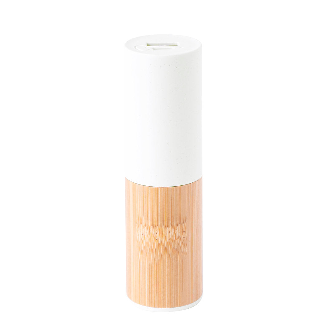 Power Bank Reneh (1)