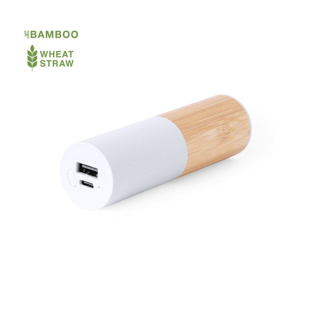 Power Bank Reneh (2)