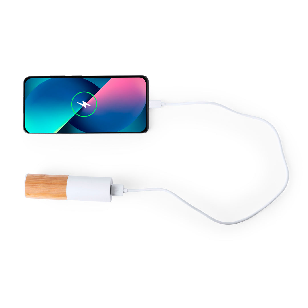 Power Bank Reneh (4)