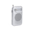 Radio Mester (2)