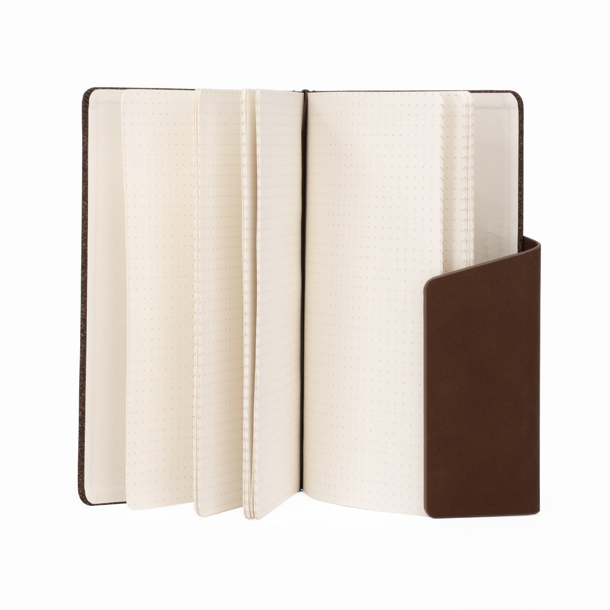 Cuaderno NIZA (5)
