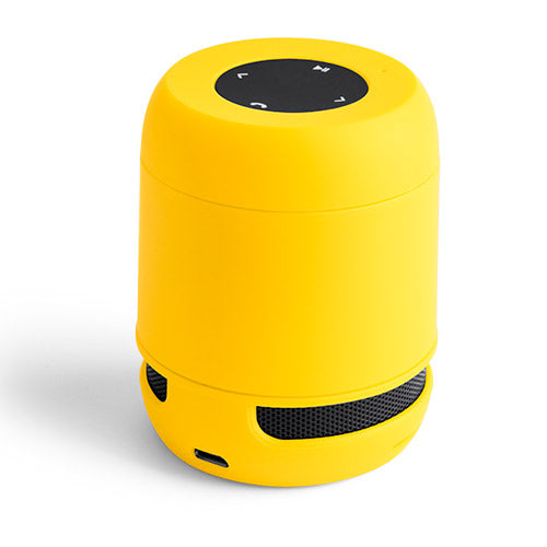 Altavoz Braiss (2)