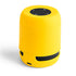 Altavoz Braiss (2)