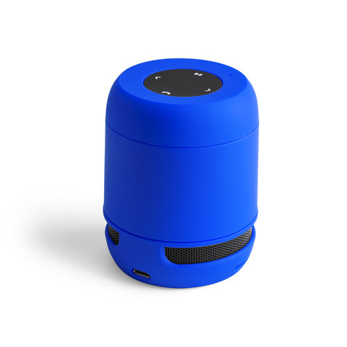 Altavoz Braiss (3)